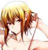 Kamitoori